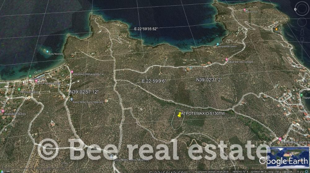 Αγροτεμάχια 5.130 τ.μ. πρός πώληση, Μαγνησία, Πτελεός
