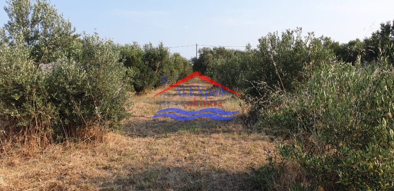 Αγροτεμάχια 8.000 τ.μ. πρός πώληση, Εβρος, Αλεξανδρούπολη