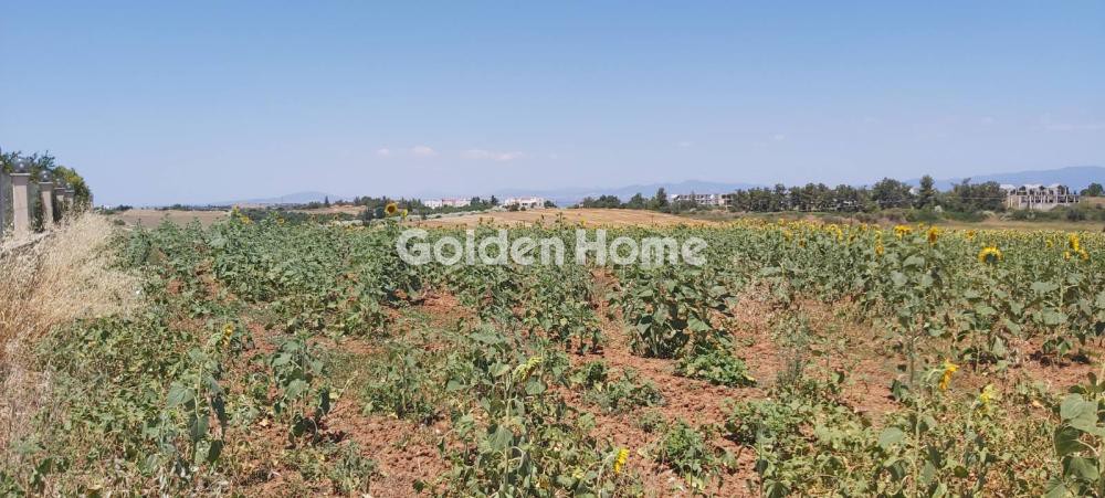 Αγροτεμάχια 15.217 τ.μ. προς πώληση, Νέα Φώκαια Κασσάνδρας