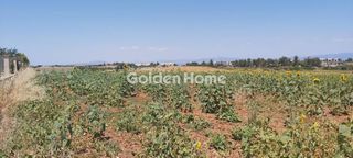 Αγροτεμάχια 15.217 τ.μ. για πώληση