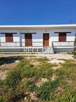 Μονοκατοικία 125τ.μ. για πώληση-Κουτσοπόδι » Μαλαντρένι