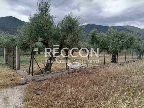 Land plot 576sqm for sale-Tolofona » Erateini