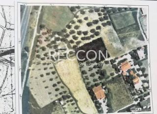 Οικόπεδο 576 τ.μ. για πώληση, Φωκίδα, Τολοφώνα-thumb-4