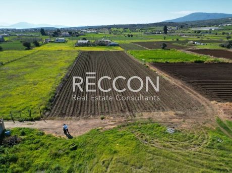 Land plot 4.250sqm for sale-Messapia » Psachna