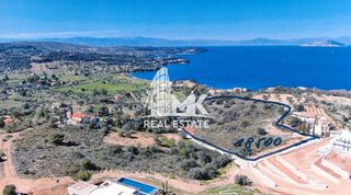 Αγροτεμάχια 18.500 τ.μ. για πώληση