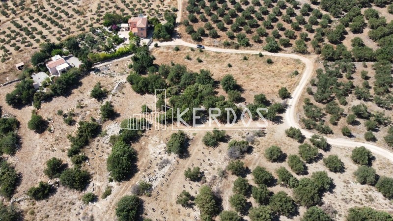 Οικόπεδο 4.396 τ.μ. προς πώληση, Κόκκινο Χωριό