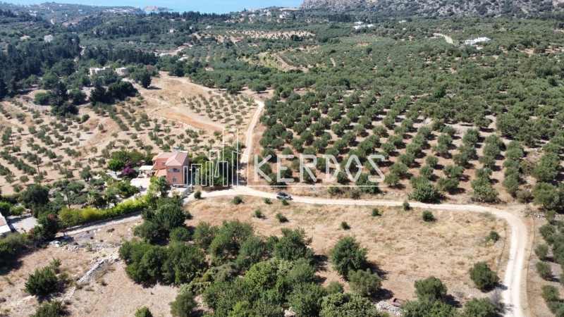Οικόπεδο 4.396 τ.μ. προς πώληση, Κόκκινο Χωριό