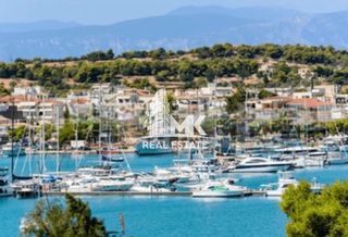 Αγροτεμάχια 44.000 τ.μ. για πώληση