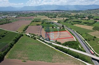 Αγροτεμάχια 13.868 τ.μ. για πώληση, Ν. Τρικάλων, Τρίκαλα-thumb-5