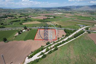Αγροτεμάχια 13.868 τ.μ. για πώληση, Ν. Τρικάλων, Τρίκαλα-thumb-2