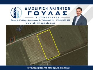 Αγροτεμάχια 9.940 τ.μ. για πώληση