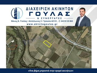 Αγροτεμάχια 9.859 τ.μ. για πώληση