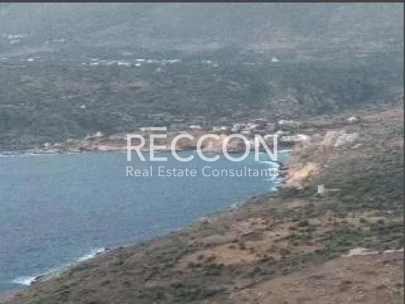 Αγροτεμάχια 27.000 τ.μ. προς πώληση, Μέζαπος