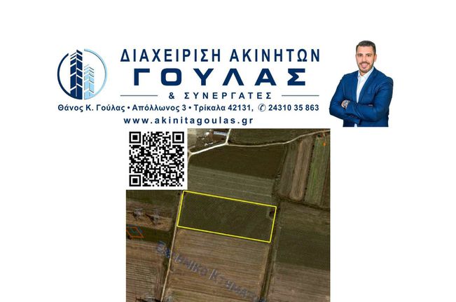 Parcel 15.400 sqm for sale, Trikala Prefecture, Pellinaio