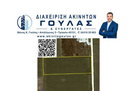 Αγροτεμάχια 6.528τ.μ. για πώληση-Πελλιναίο
