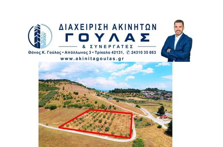 Αγροτεμάχια 6.400τ.μ. για πώληση-Τρίκαλα
