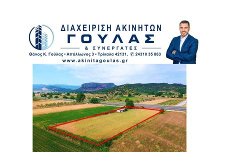 Αγροτεμάχια 3.128τ.μ. για πώληση-Βασιλική