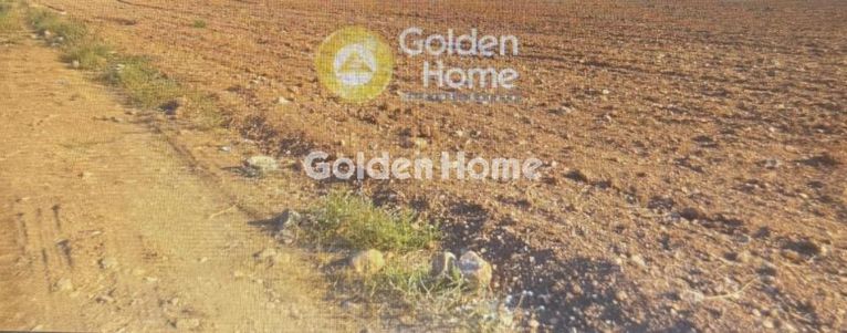Parcel 34.000 sqm for rent, Rest Of Attica, Aspropirgos