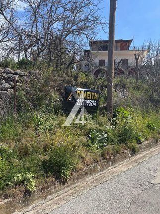 Οικόπεδο 345 τ.μ. για πώληση, Αχαΐα, Καλάβρυτα