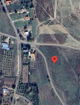 Land plot 12.000 sqm for sale