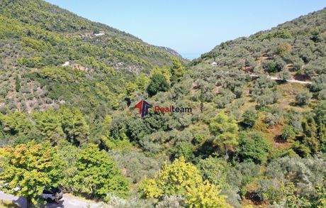 Parcel 4.000sqm for sale-Skopelos