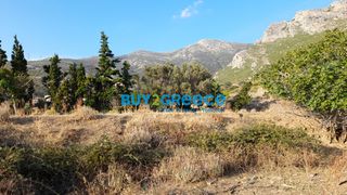 Οικόπεδο 2.622 τ.μ. προς πώληση, Κάρυστος-thumb-8