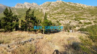Οικόπεδο 2.622 τ.μ. προς πώληση, Κάρυστος-thumb-7