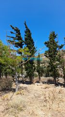 Οικόπεδο 2.622 τ.μ. προς πώληση, Κάρυστος-thumb-4