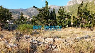 Οικόπεδο 2.622 τ.μ. προς πώληση, Κάρυστος-thumb-6