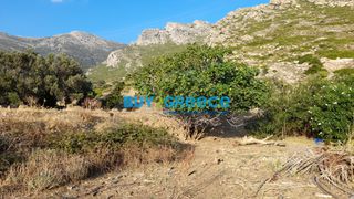 Οικόπεδο 2.622 τ.μ. προς πώληση, Κάρυστος-thumb-10