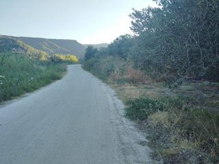 Αγροτεμάχια 3.269 τ.μ. για πώληση