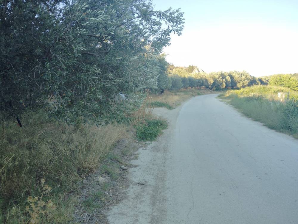 Αγροτεμάχια 3.269 τ.μ. πρός πώληση, Κορινθία, Σικυώνα