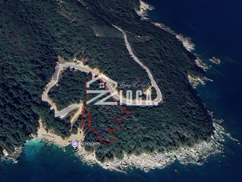 Αγροτεμάχια 6.617 τ.μ. πρός πώληση, Μαγνησία, Κεραμίδι
