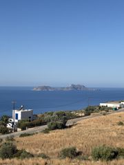 Αγροτεμάχια 7.554,36 τ.μ. για πώληση