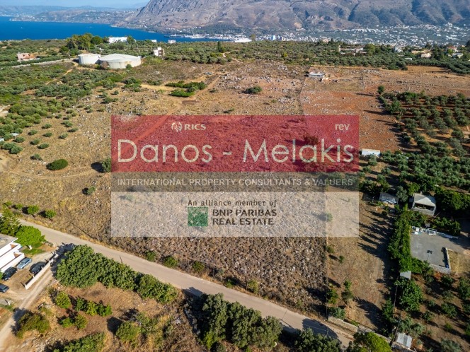 Οικόπεδο 8.125 τ.μ. προς πώληση, Κορακιές