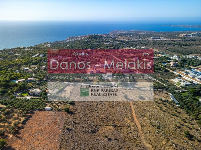 Οικόπεδο 8.125 τ.μ. προς πώληση, Κορακιές