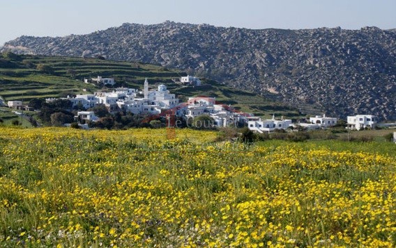 Οικόπεδο 3.000 τ.μ. πρός πώληση, Κυκλάδες, Τήνος