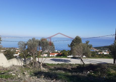 Οικόπεδο 1.235τ.μ. για πώληση-Μαρκόπουλο » Χαμολιά