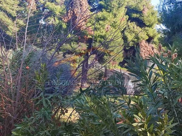 Οικόπεδο 1.100 τ.μ. προς πώληση, Μαρκόπουλο Ωρωπού