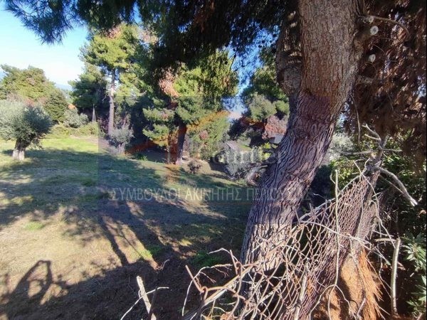 Οικόπεδο 1.100 τ.μ. προς πώληση, Μαρκόπουλο Ωρωπού