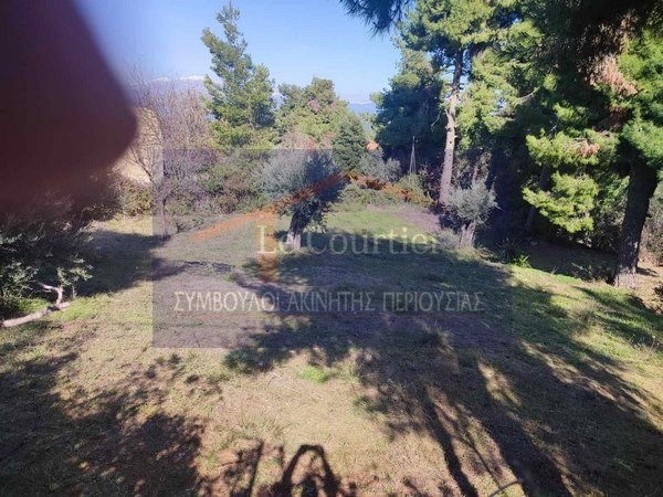 Οικόπεδο 1.100 τ.μ. προς πώληση, Μαρκόπουλο Ωρωπού