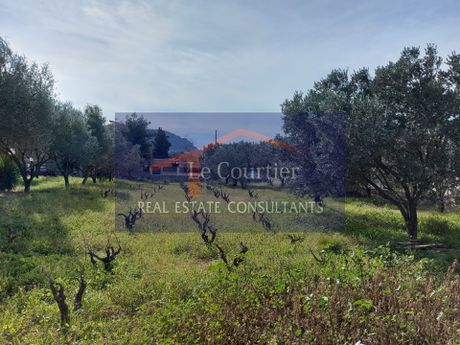 Οικόπεδο 1.175τ.μ. για πώληση-Κορωπί » Αγία μαρίνα