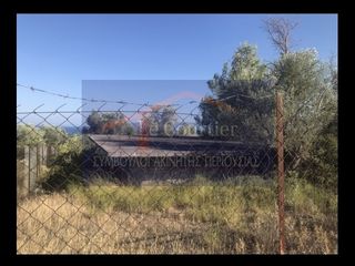Οικόπεδο 400 τ.μ. για πώληση, Εύβοια, Ερέτρια-thumb-3