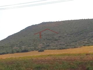 Οικόπεδο 27.000 τ.μ. για πώληση