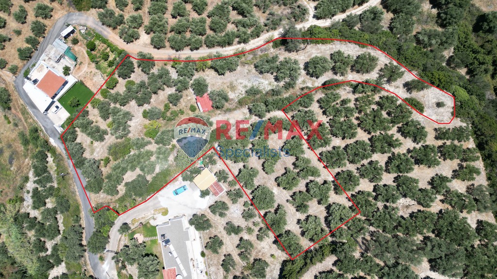 Οικόπεδο 4.686,66 τ.μ. προς πώληση, Πολεμάρχι