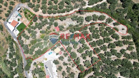 Οικόπεδο 4.686,66τ.μ. για πώληση-Βουκολιές