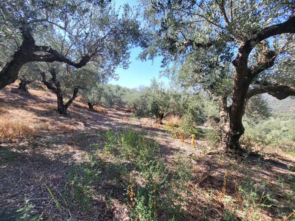 Οικόπεδο 1.019 τ.μ. προς πώληση, Άνω Βούβες