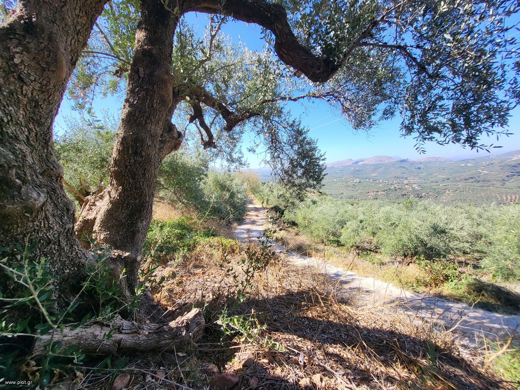 Οικόπεδο 1.019 τ.μ. προς πώληση, Άνω Βούβες