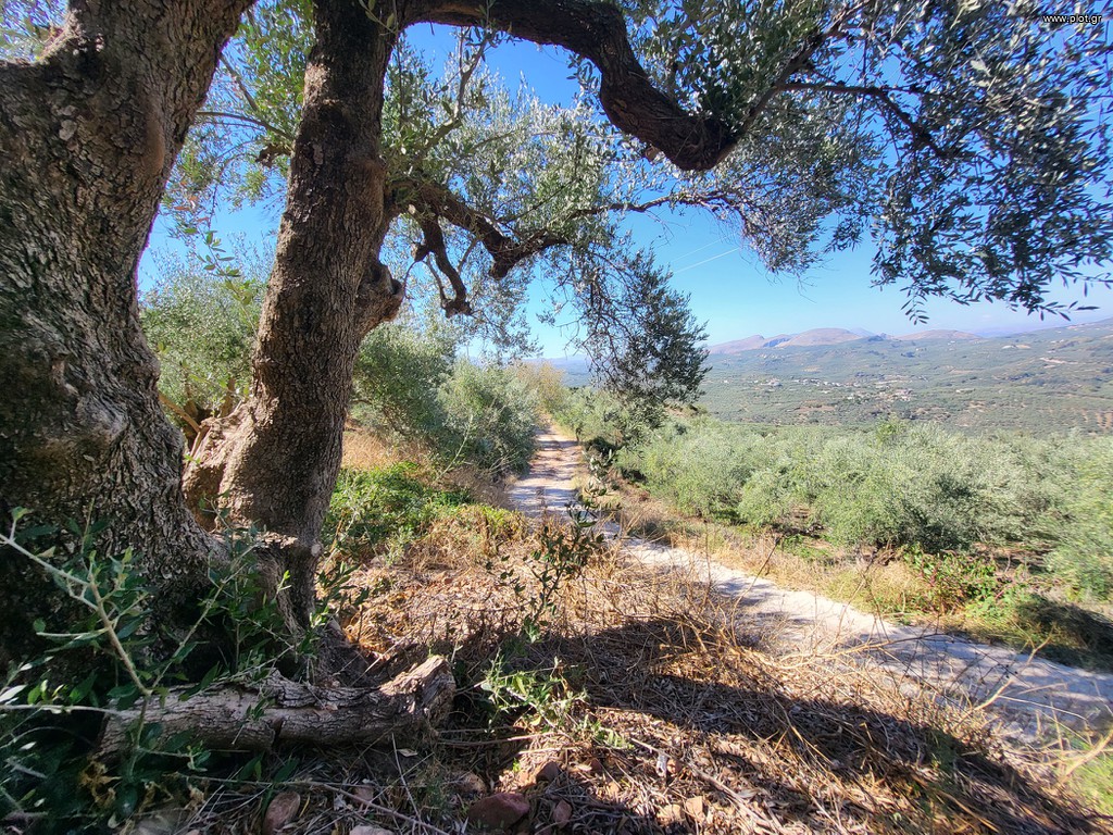 Οικόπεδο 1.019 τ.μ. προς πώληση, Άνω Βούβες