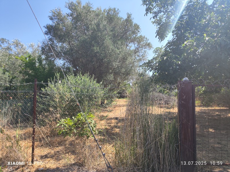 Αγροτεμάχια 460 τ.μ. πρός πώληση, Ν. Καβάλας, Παγγαίο